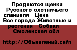 Продаются щенки Русского охотничьего спаниеля › Цена ­ 25 000 - Все города Животные и растения » Собаки   . Смоленская обл.